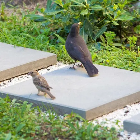 Tera Near Bacvice And Centre * Split